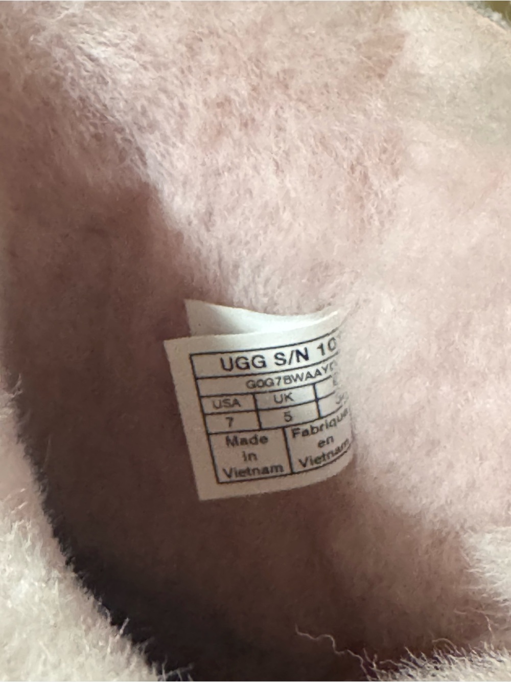 Brand New Women Uggs - Picture 3 of 4